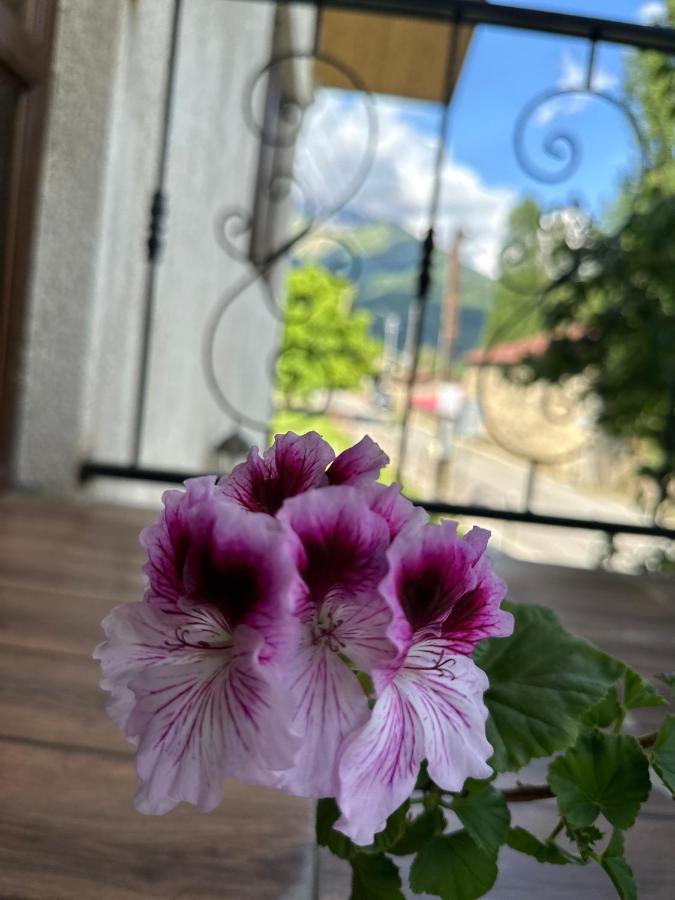 Hotel Bala'S House Mestia Zewnętrze zdjęcie